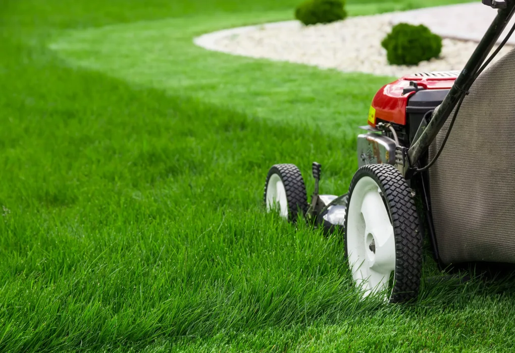fertilizing program in Rosemount, MN
