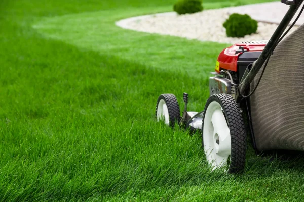 Seasonal Lawn Success Starts with Our Fertilizing Program in Rosemount, MN fertilizing program in Rosemount, MN