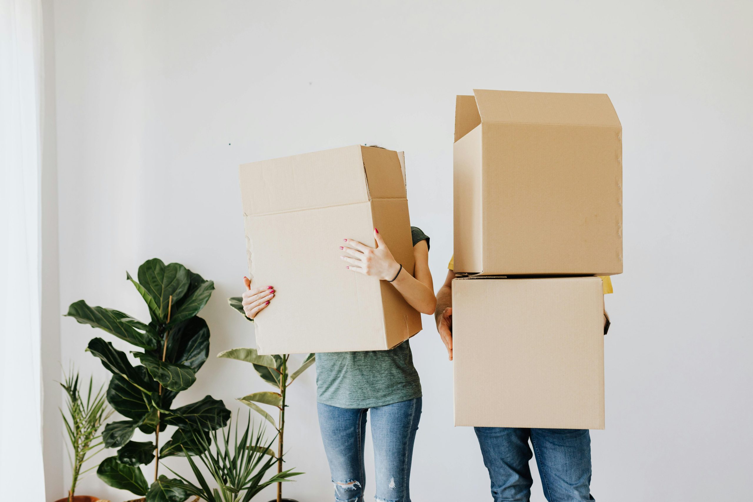 house packing services